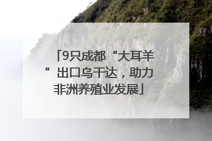 9只成都“大耳羊”出口乌干达，助力非洲养殖业发展