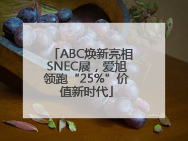 ABC焕新亮相SNEC展，爱旭领跑“25%”价值新时代