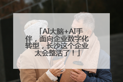 AI大脑+AI手伴，面向企业数字化转型，长沙这个企业太会整活了！
