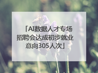 AI数据人才专场招聘会达成初步就业意向305人次