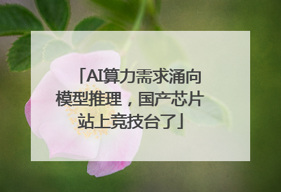 AI算力需求涌向模型推理，国产芯片站上竞技台了