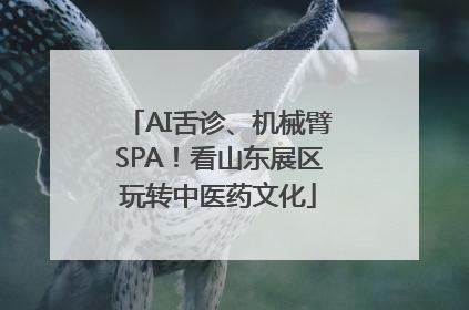 AI舌诊、机械臂SPA！看山东展区玩转中医药文化