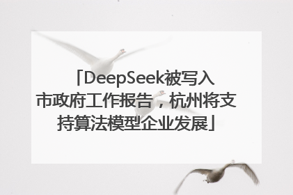 DeepSeek被写入市政府工作报告，杭州将支持算法模型企业发展