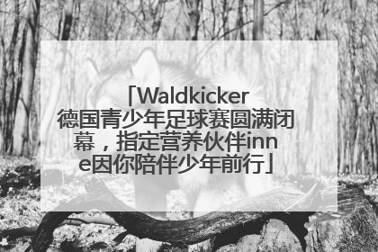 Waldkicker德国青少年足球赛圆满闭幕，指定营养伙伴inne因你陪伴少年前行